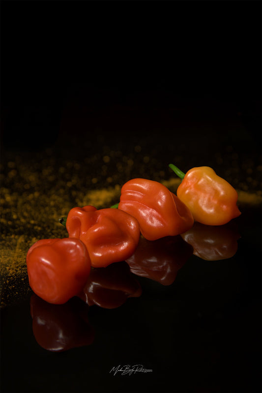 Hot chili pepper still life photo print 30x20cm Fuji Crystal DP2 glossy paper 250g no margin